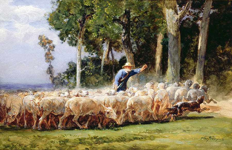 Farm Painting - A Shepherd With A Flock Of Sheep by Charles Emile Jacques