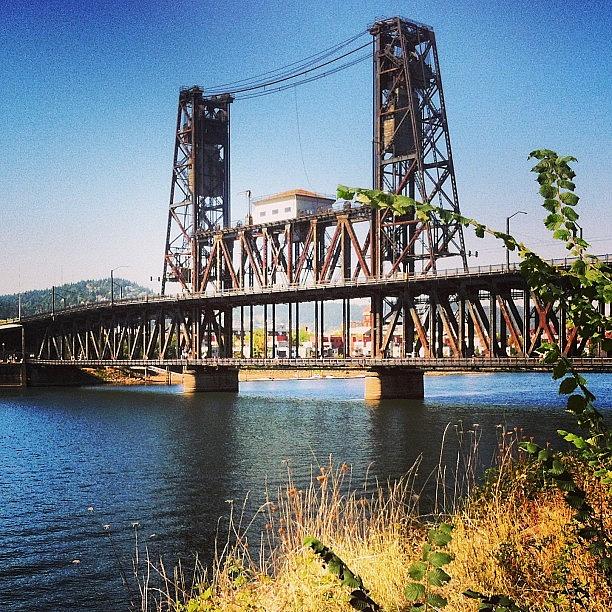 Summer Photograph - A Shot Of The Steel Bridge In Portland by Mike Warner