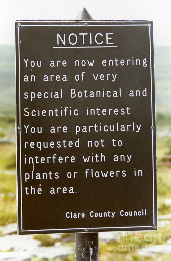 Sign Photograph - A sign in The Burren by Joe Cashin