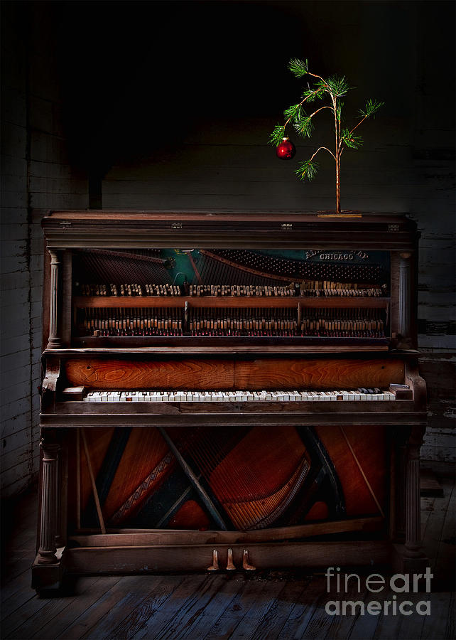 A Simple Christmas No. 1 Photograph by T Lowry Wilson