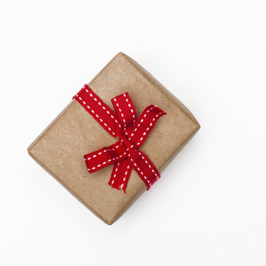 A Simple Gift Photograph by Diane Macdonald