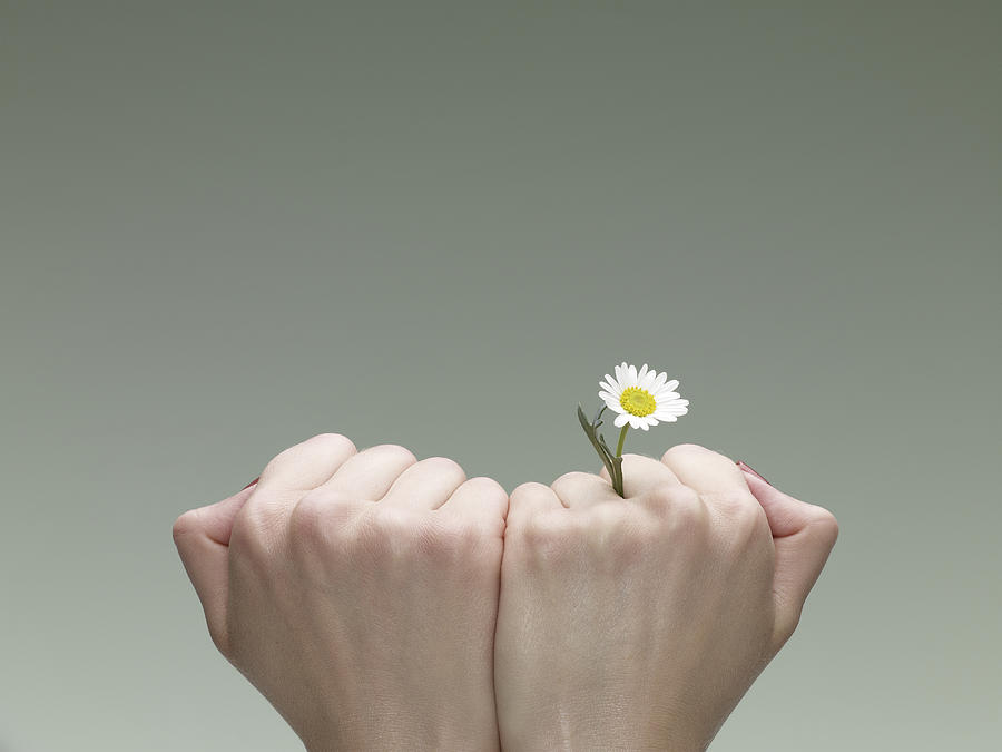 A Single Daisy Emerging From The Crack Of A Finger Photograph by Max Oppenheim