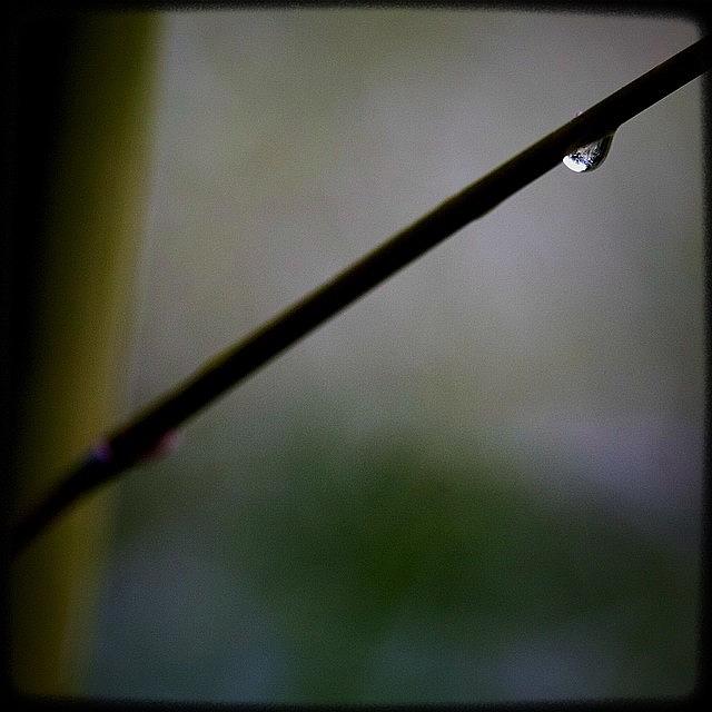 Igers Photograph - A Single Drop. #instagood #picoftheday by Kevin Smith