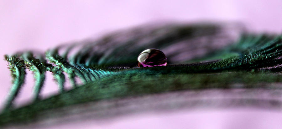 Abstract Photograph - A Single Drop of Purity by Krissy Katsimbras
