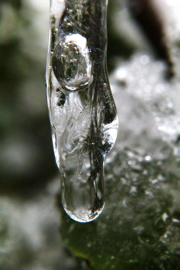 A Single Drop Of Spring Photograph by Scott Hovind