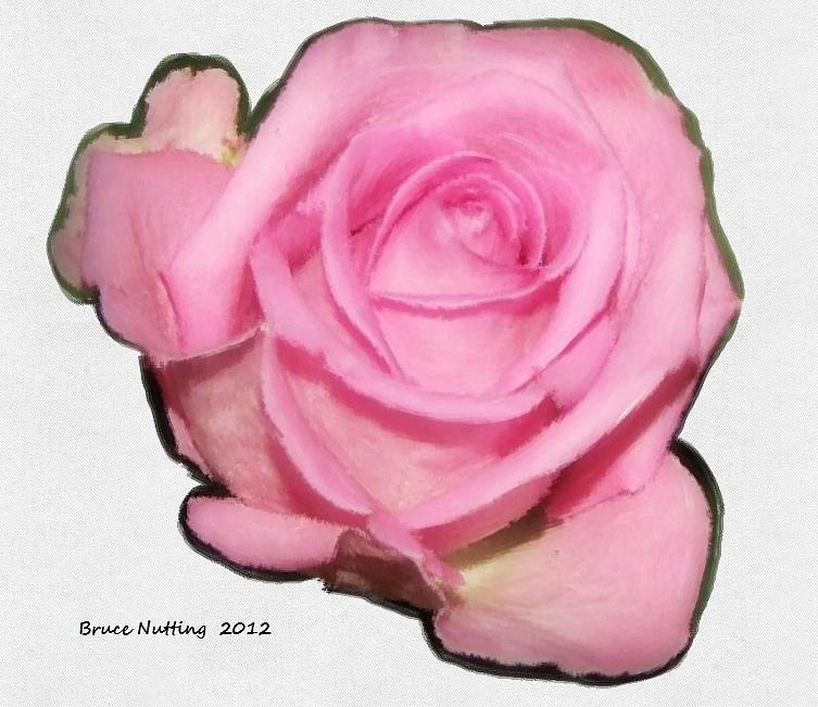 A Single Pink Rose Painting by Bruce Nutting
