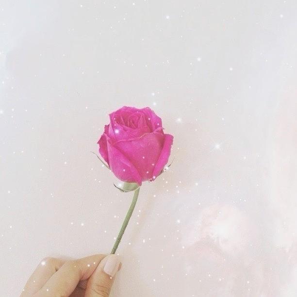 Vscocam Photograph - A Single Rose Can Be My Garden by Debbie Liang