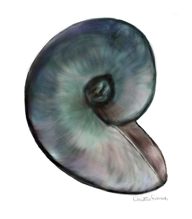 A single shell Painting by Christine Fournier