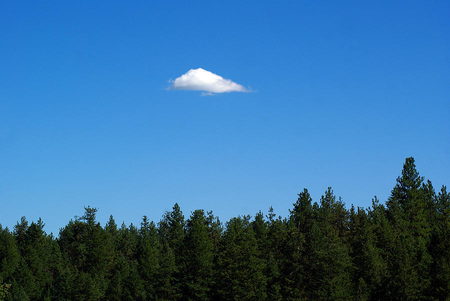 A Single Solitary Cloud Floating About in the Sky of Blue Photograph by Ben Upham III