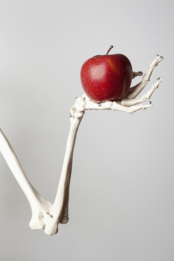 A skeleton arm and hand holding a red apple Photograph by Ludger Paffrath