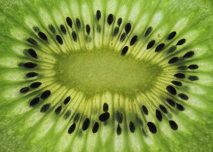 A slice of Kiwi fruit Photograph by © Jackie Bale