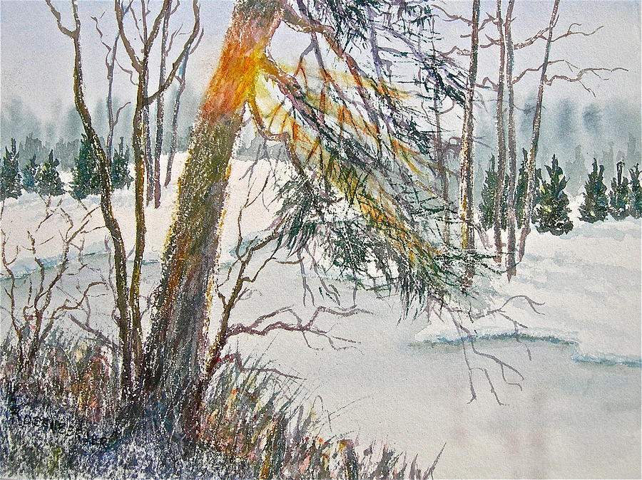 Tree Painting - A Slice of Winter Sunshine by Carolyn Rosenberger