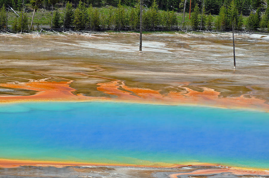 A Slice of Yellowstones Grand Prismatic Spring Photograph by Bruce Gourley