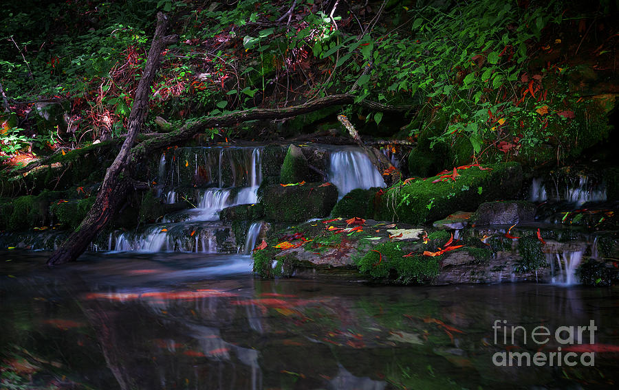 Mill Photograph - A Small Fall by Wayne Stacy