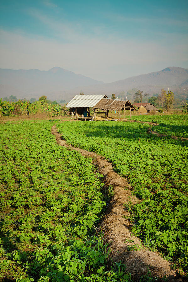 A Small Farm  In The Countryside Of Pai Photograph by 