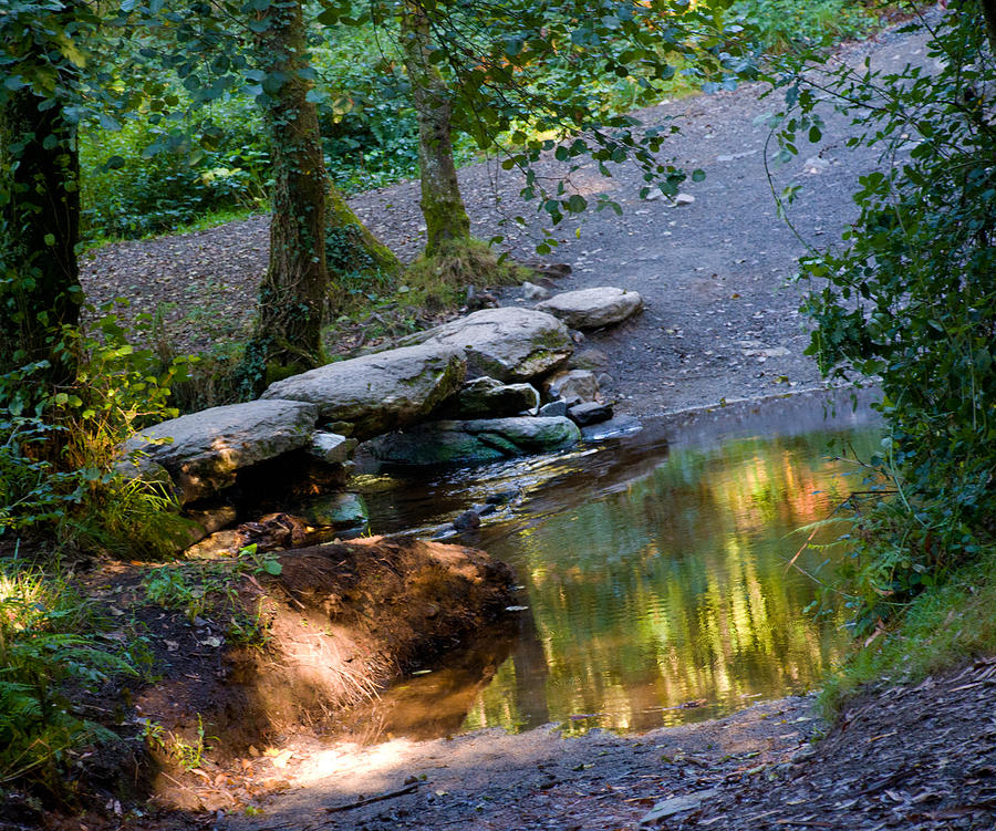 The Camino Photograph - A Small River in Galicia Spain by Dave Byrne