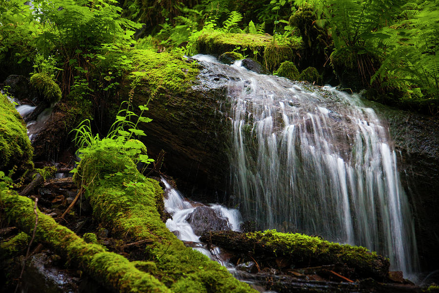 A Small Waterfall Over A Fallen Tree Photograph by Christopher Kimmel ...