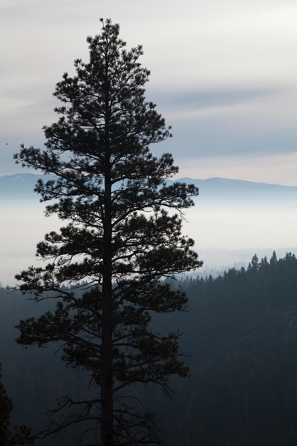 Nature Photograph - A Smokey Haze From Idaho Wildfires Lies by Robin Carleton