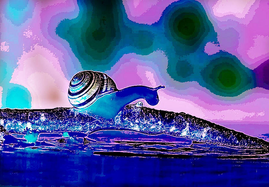 A Snails Face Digital Art by Karen Buford