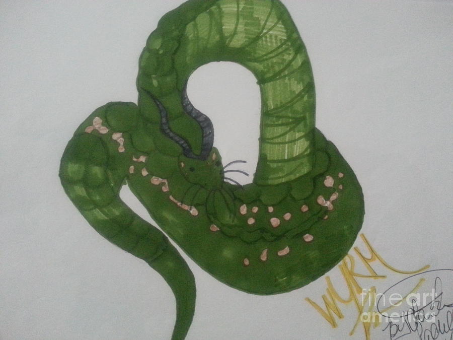 A Snake Drawing by Charita Padilla