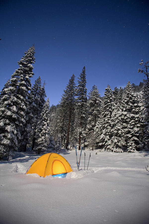 A Snow Camping Tent Among Trees Photograph by Justin Bailie - Fine Art ...