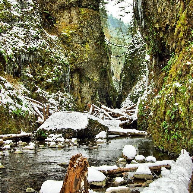 Portland Photograph - A Snow Covered Oneonta Gorge. I by Mike Warner