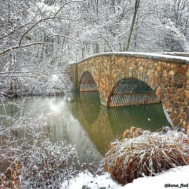 A Snow Covered Reflecting Bridge Needs Photograph by Brian Lyons