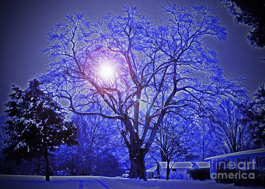 Christmas Photograph - A Snow Glow Evening by Lydia Holly