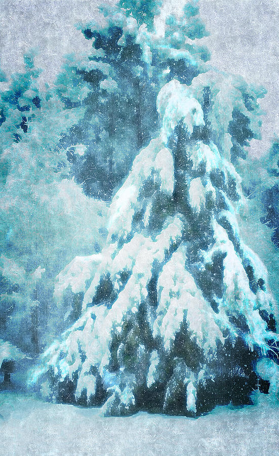 A Snow Tree Digital Art by Pamela Smale Williams