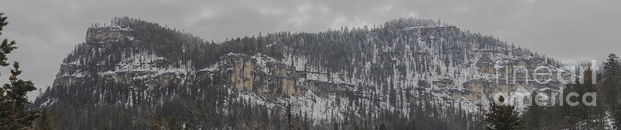 A Snowy Day In Spearfish Canyon Of South Dakota Photograph by Steve Triplett