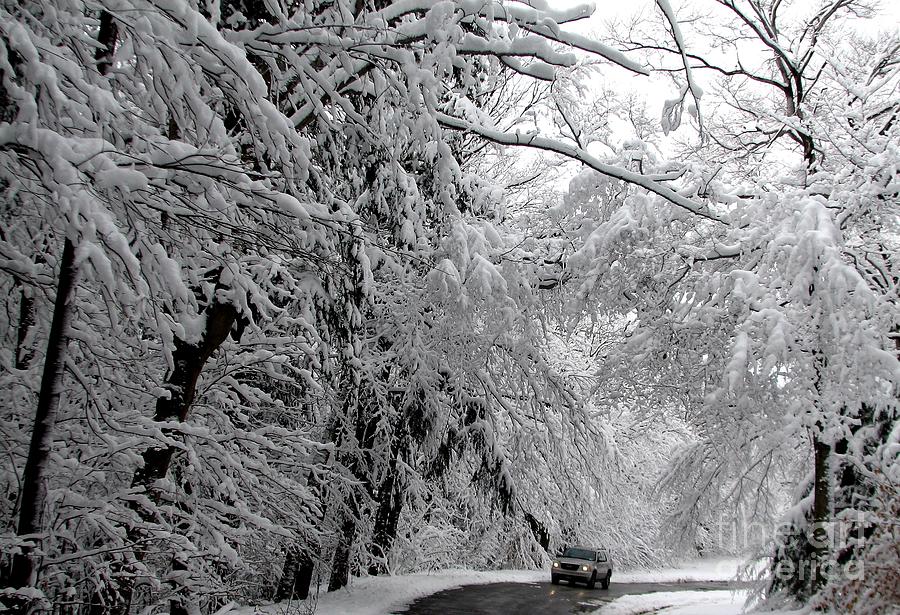 A snowy drive through Chestnut Ridge Park Photograph by Rose Santuci-Sofranko