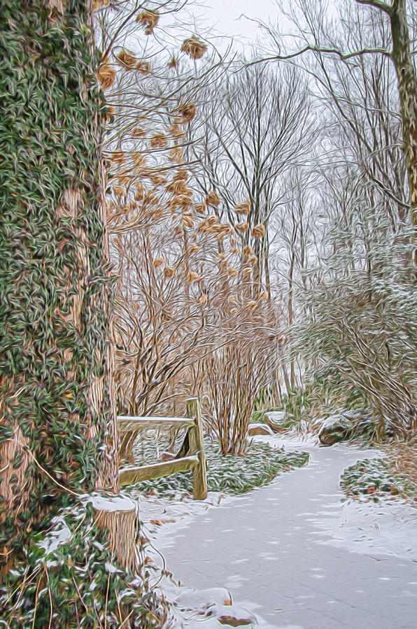 A Snowy Path in the Woods Photograph by Beth Venner