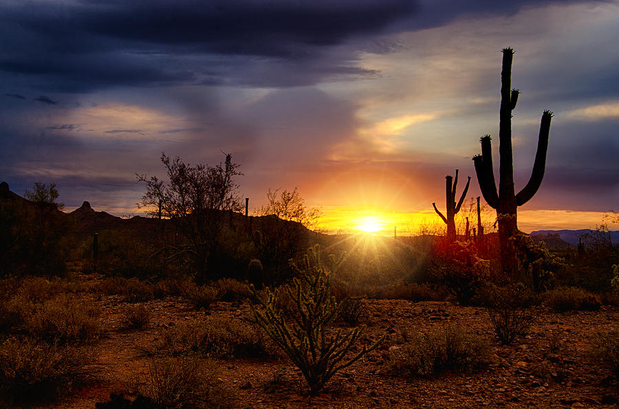 A Sonoran Style Sunrise Photograph by Saija Lehtonen - Pixels