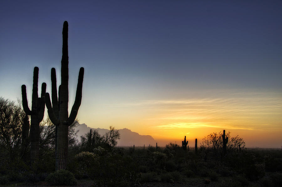 Nature Photograph - A Sonoran Sunrise  by Saija Lehtonen