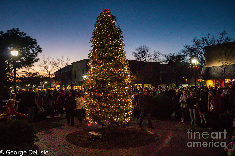 A Southern Pines Christmas 2 Photograph by George DeLisle