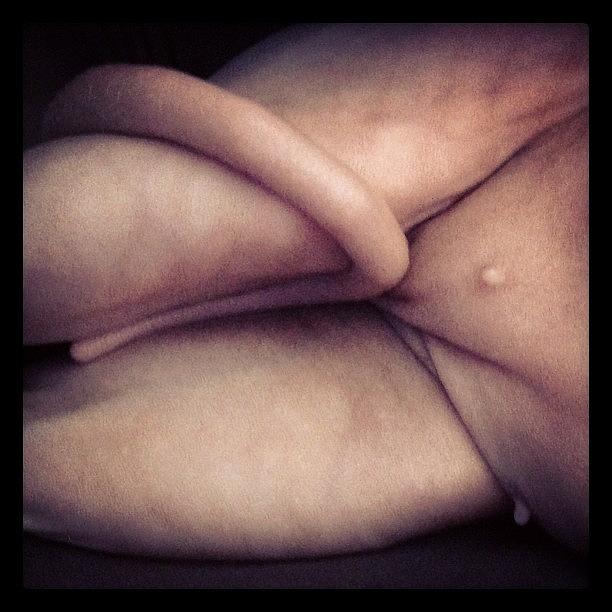 Nude Photograph - A Sphynx Abstract Art Piece Lol #sphynx by Samantha Charity Hall
