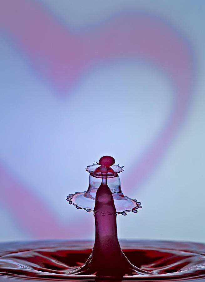 Valentines Day Photograph - A Splash Of Love by Susan Candelario