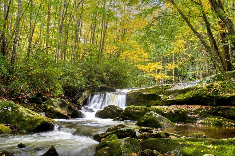 Autumn Photograph - A Splash of Yellow by Kristina Plaas Autumn Photograph - A Splash of Yellow by Kristina Plaas