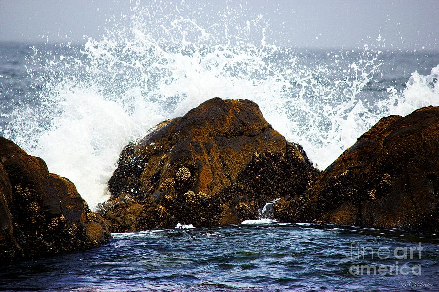 A Splash On the Rocks Photograph by Barbara Chichester
