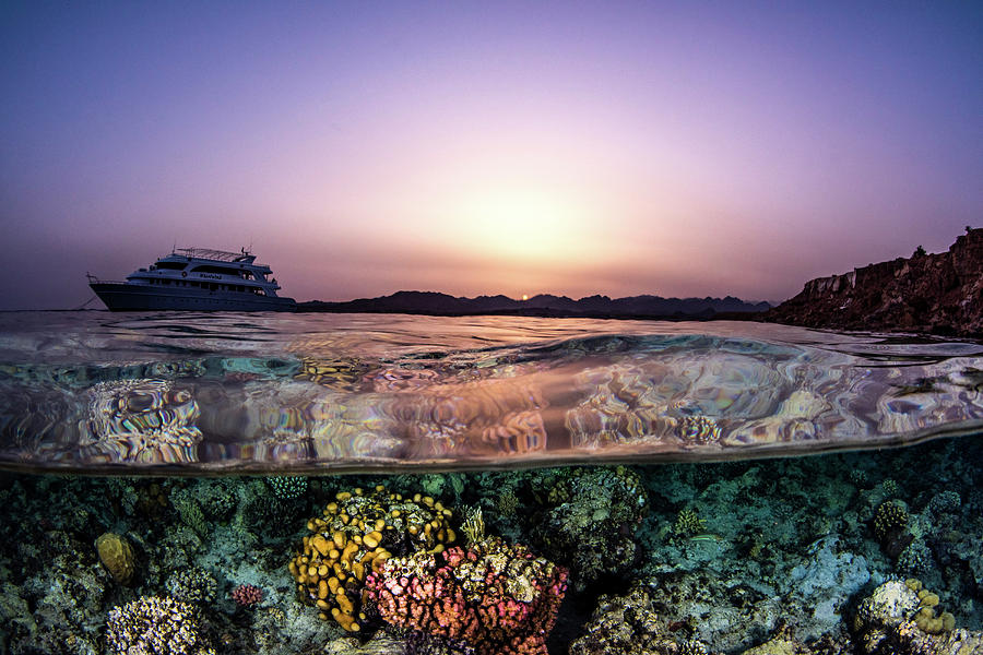 A Split Shot Featuring A Liveaboard Photograph by Brook Peterson
