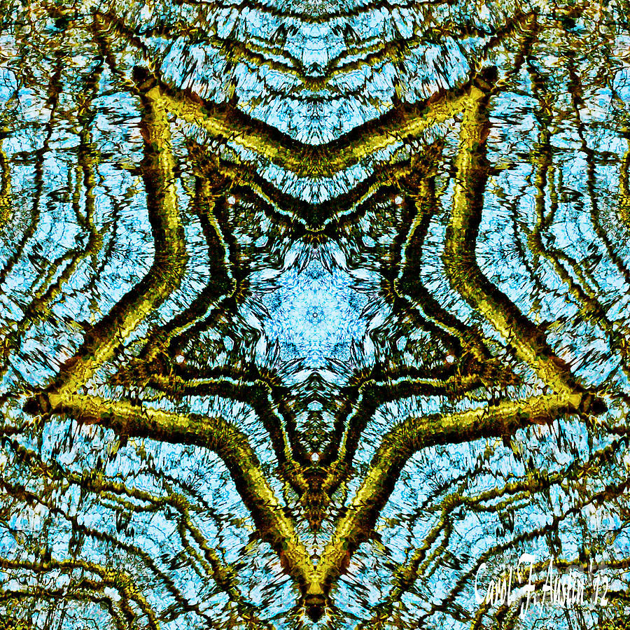 A Star is Born - Kaleidoscope Abstract Design Photograph by Carol F Austin