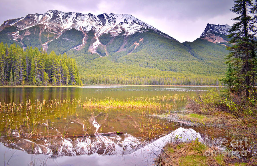 A Still Day at Buck Lake Photograph by Tara Turner | Fine Art America