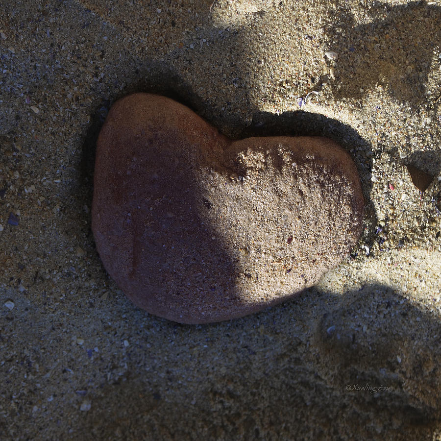 A Stone Heart Photograph by Xueling Zou