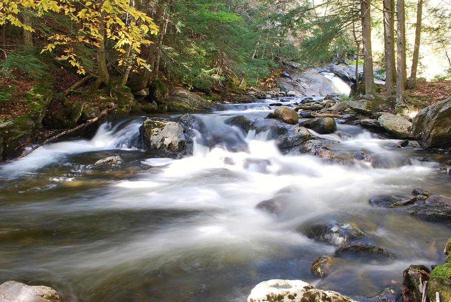 A Stream Photograph by John Flores - Fine Art America