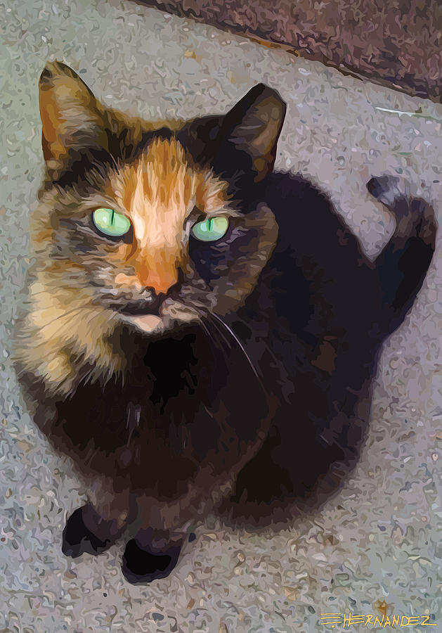 A Street Cat Posed For Me Digital Art