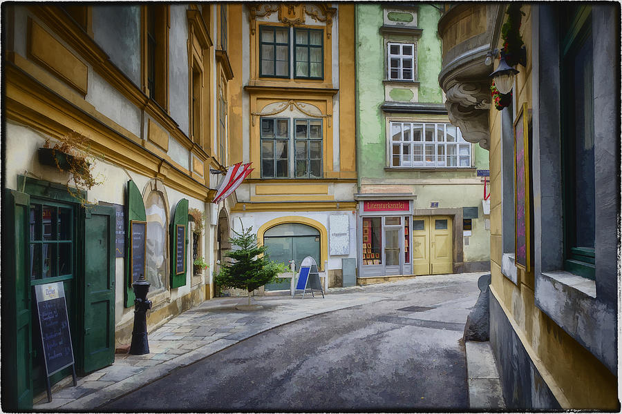 A Street in Vienna Photograph by Joan Carroll