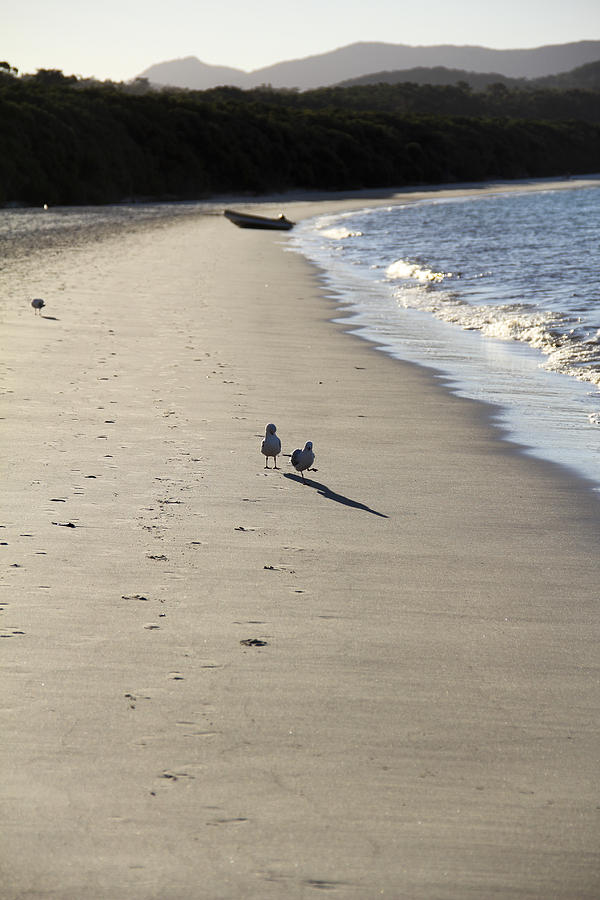 A Stroll along the Beach Photograph by Debbie Cundy
