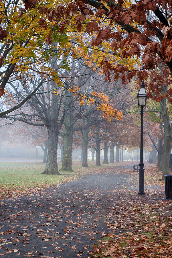 A stroll in Salem fog Photograph by Jeff Folger