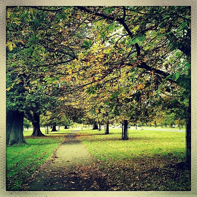 Fall Photograph - A Stroll In The Park. #autumn by David Lynch