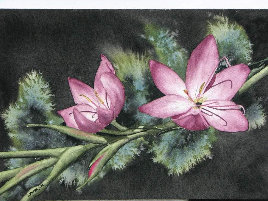 Flower Painting - A study in pink by Lynda Grant